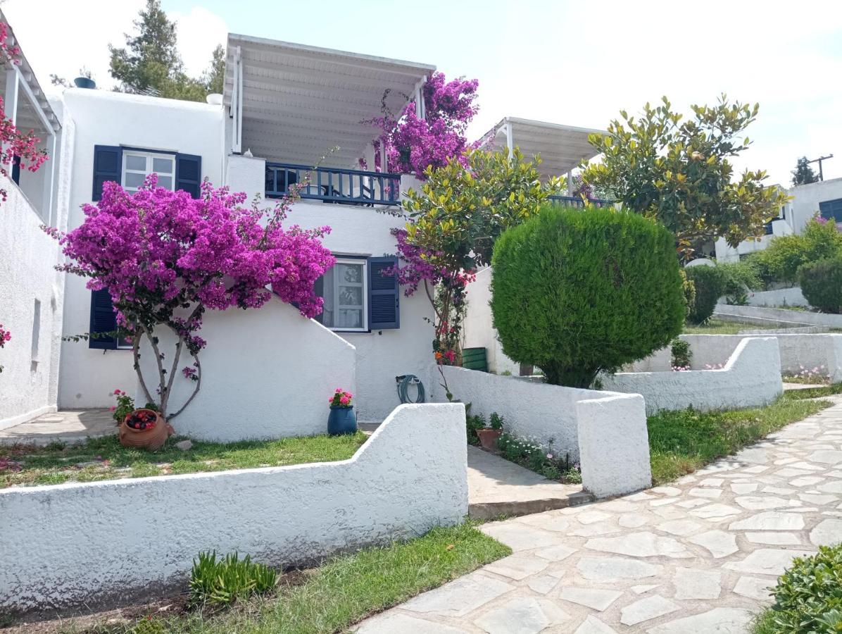 Danai Ferienhaus Toroni