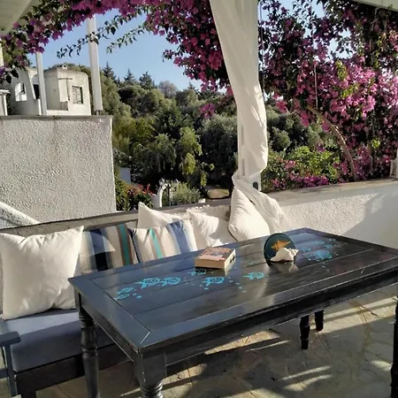 Villa Danai Toroni Extérieur photo